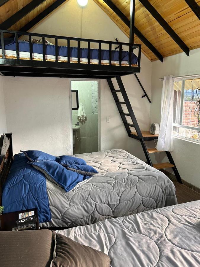 Appartement 1 Chambre