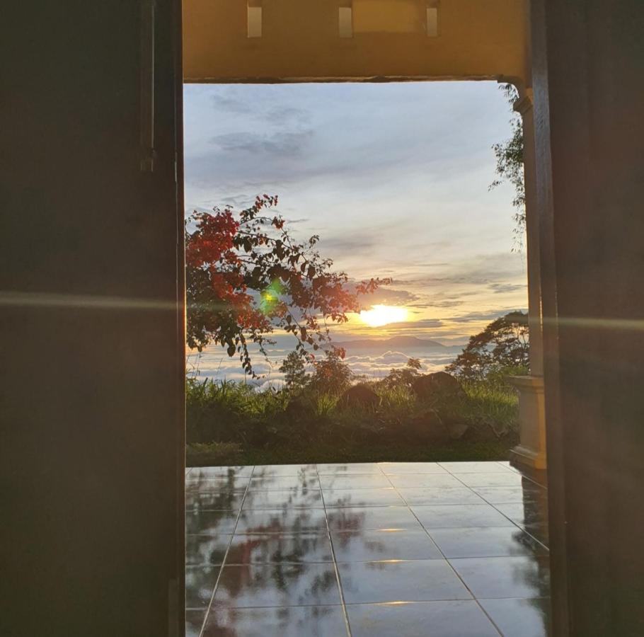 Angel's Homestay Batutumonga - B&B