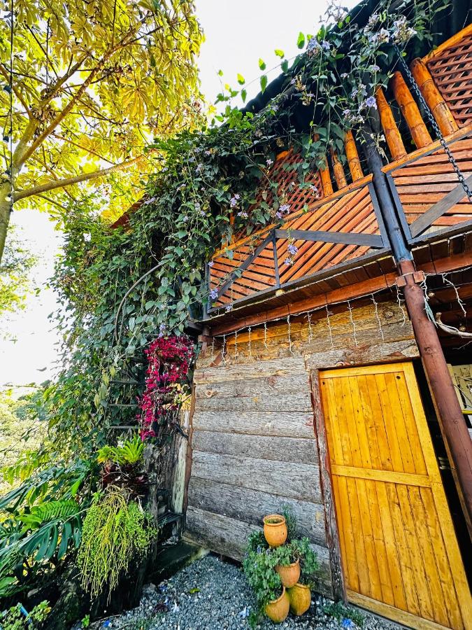 Ecohotel campestre Rionegro-A 20 minutos del aeropuerto - B&B