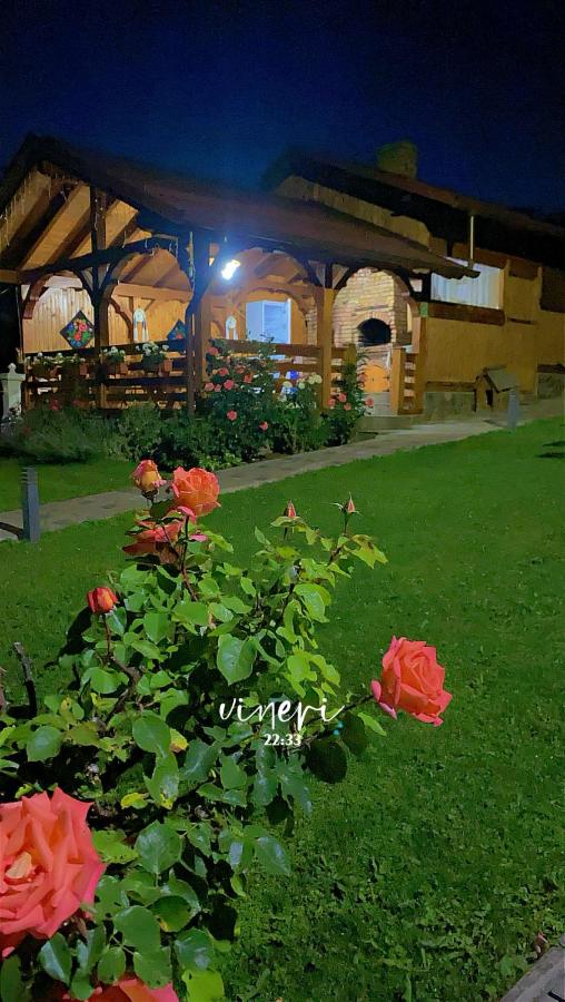 Pensiunea Edia - B&B