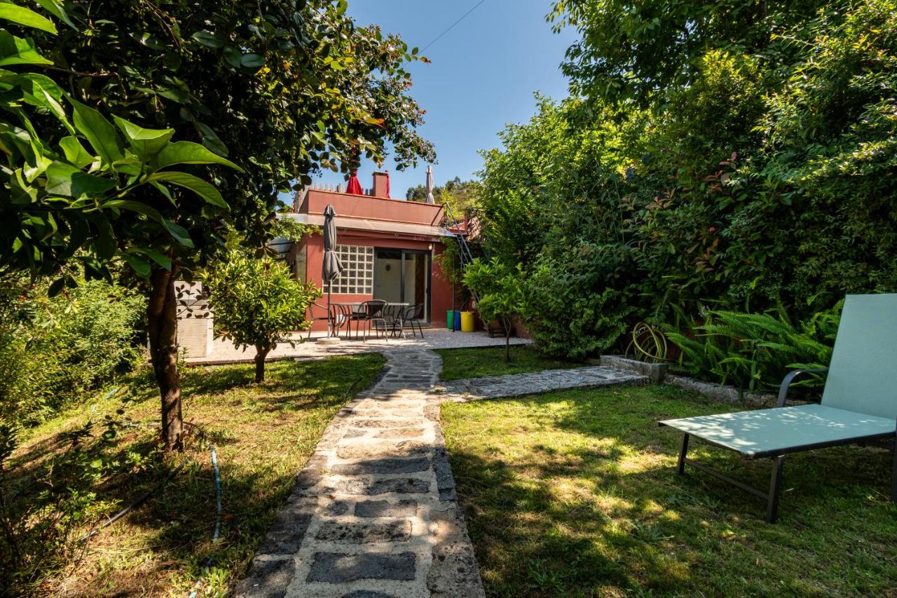 Casas do Penedo Lajão - Casa das Cerejas - B&B Paredes de Coura