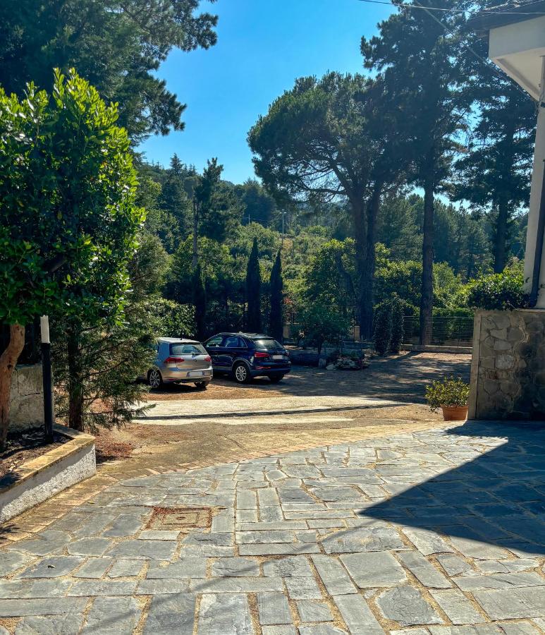 Villa Curcio casa vacanze - B&B Corigliano Calabro