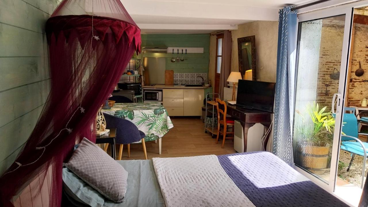 les 2 studios indépendants du clos de l'Ange - B&B Rieux-Volvestre