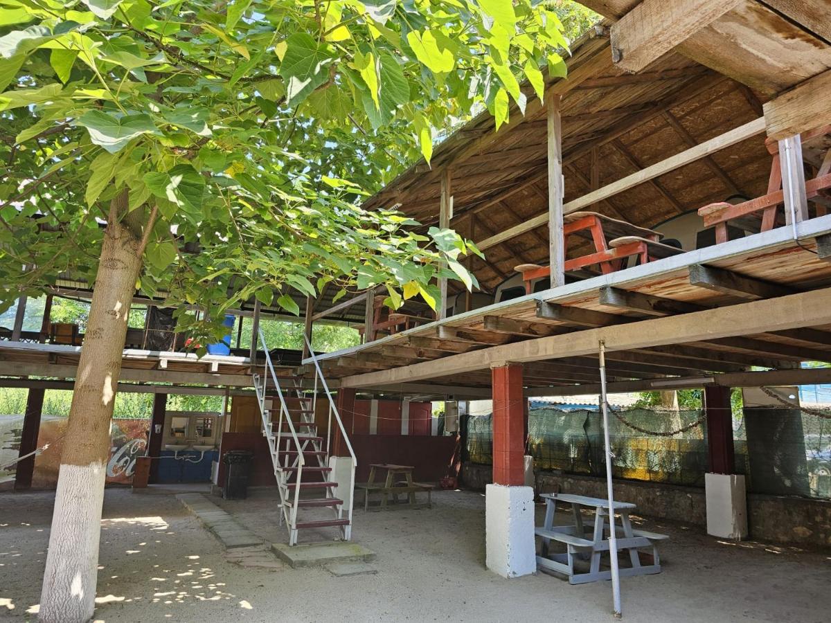 casa la meduza - Bed and Breakfast Vama Veche