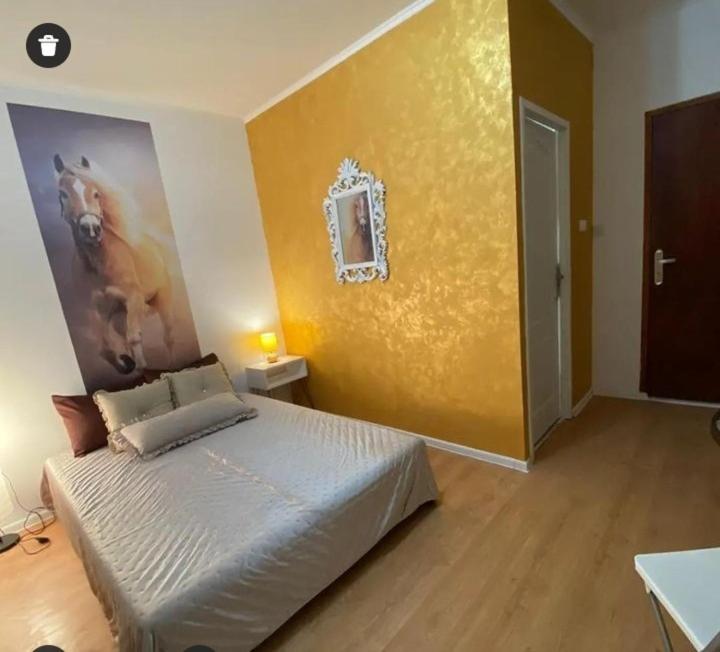Golden room - Ferienwohnung Mali Beograd