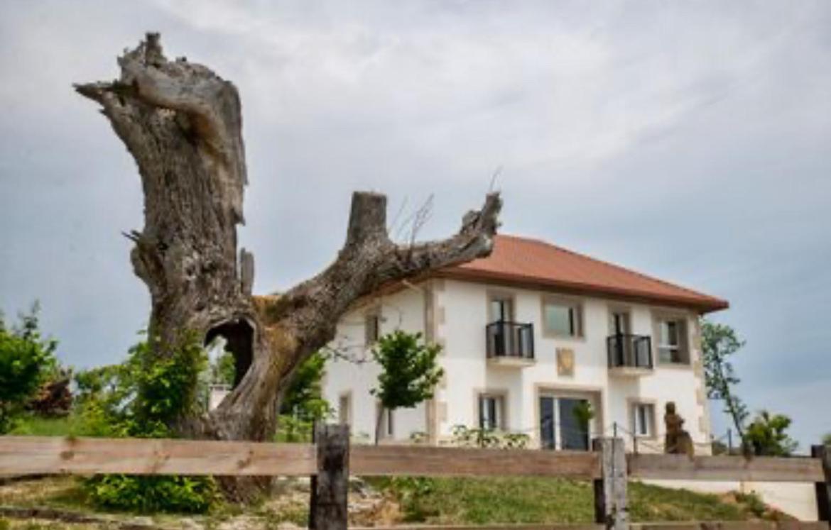 Pepiño de Tomonte - B&B
