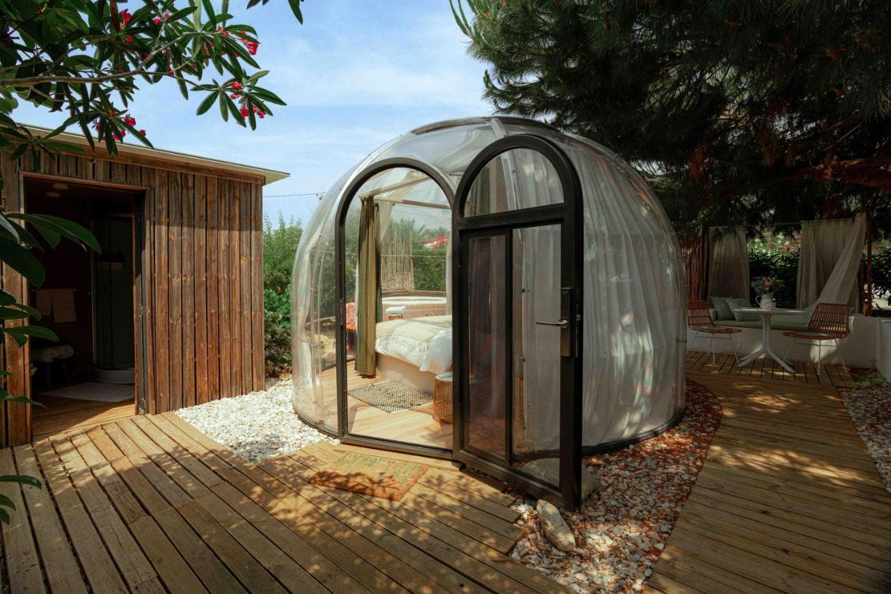 Tent - Birdnest