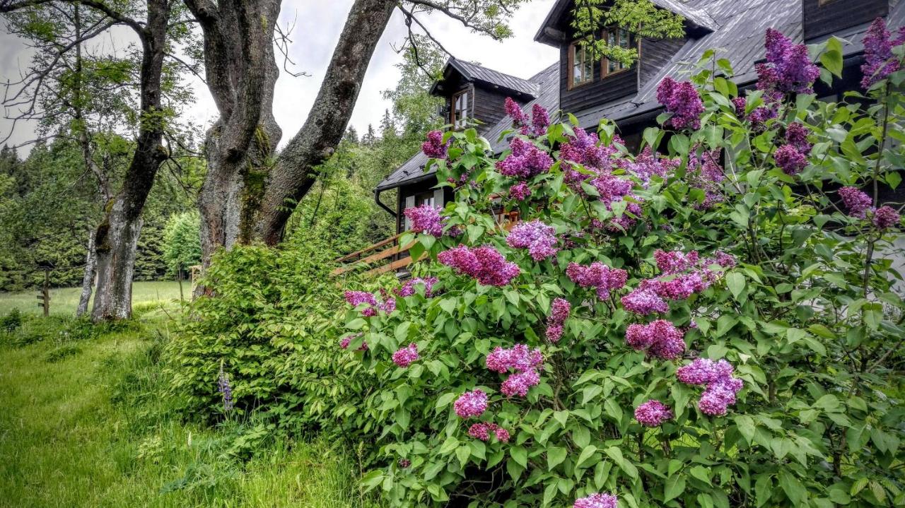 Chata Pod Koberštejnem - B&B