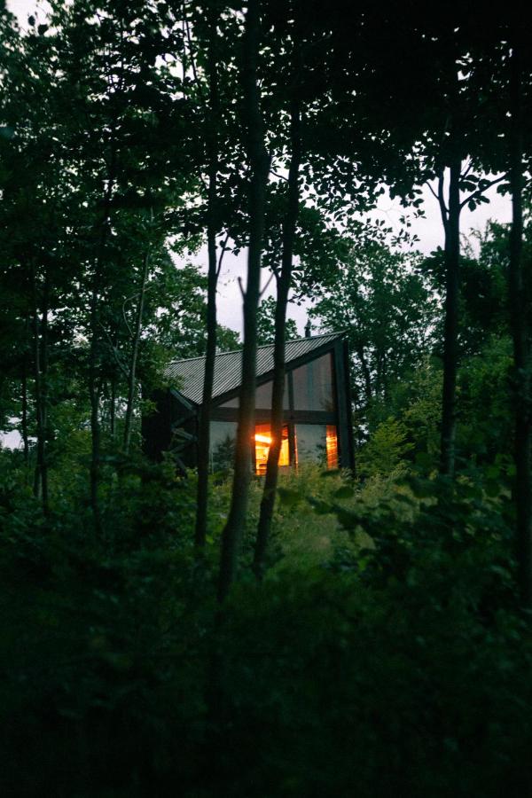BIOSFERA Natural Experience Domki Premium w Karkonoszach - B&B