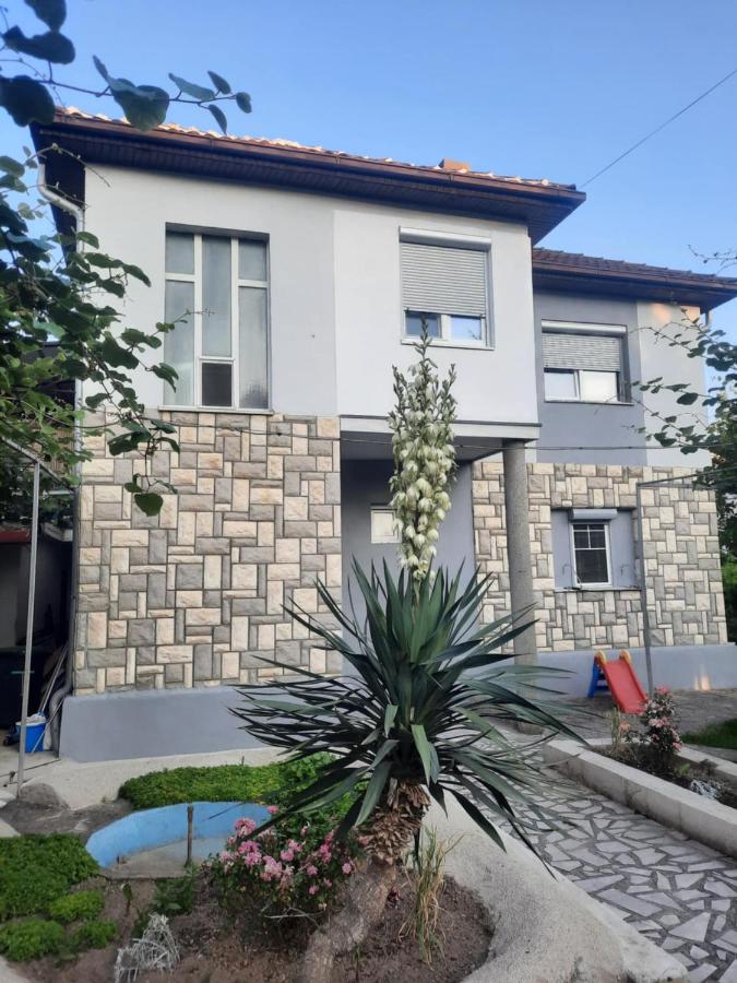 ANA Apartments - B&B Ocrida