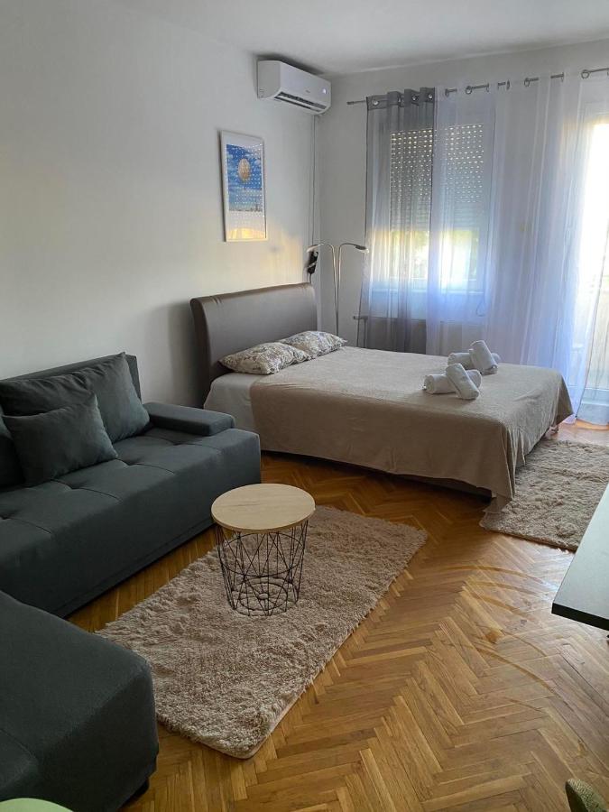 Detelina New - B&B Novi Sad