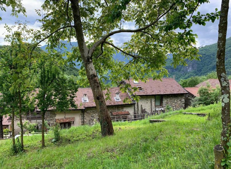 Affittacamere Montagne Verdi - B&B Varallo Sesia