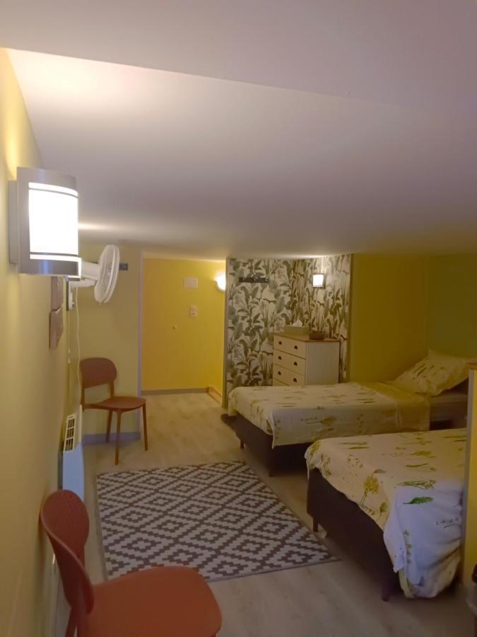 fleurs de printemps - Jonquille chic - B&B Vrécourt