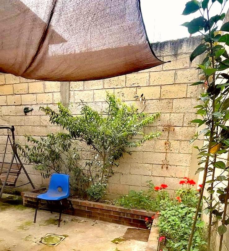 Hostal León - B&B