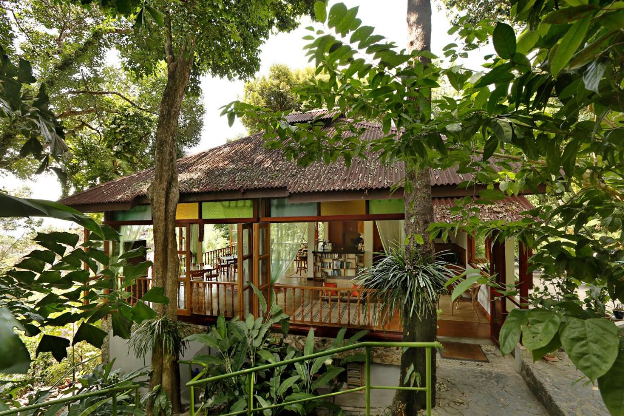 B&B Pantai Cenang - Ambong Rainforest Retreat - Bed and Breakfast Pantai Cenang