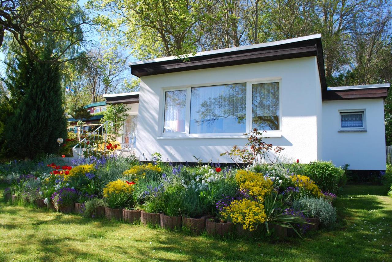 Apartment mit Gartenblick