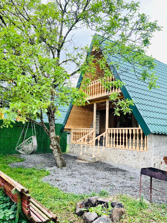 ElNi Hause Borjomi - Bed and Breakfast Bordzjomi