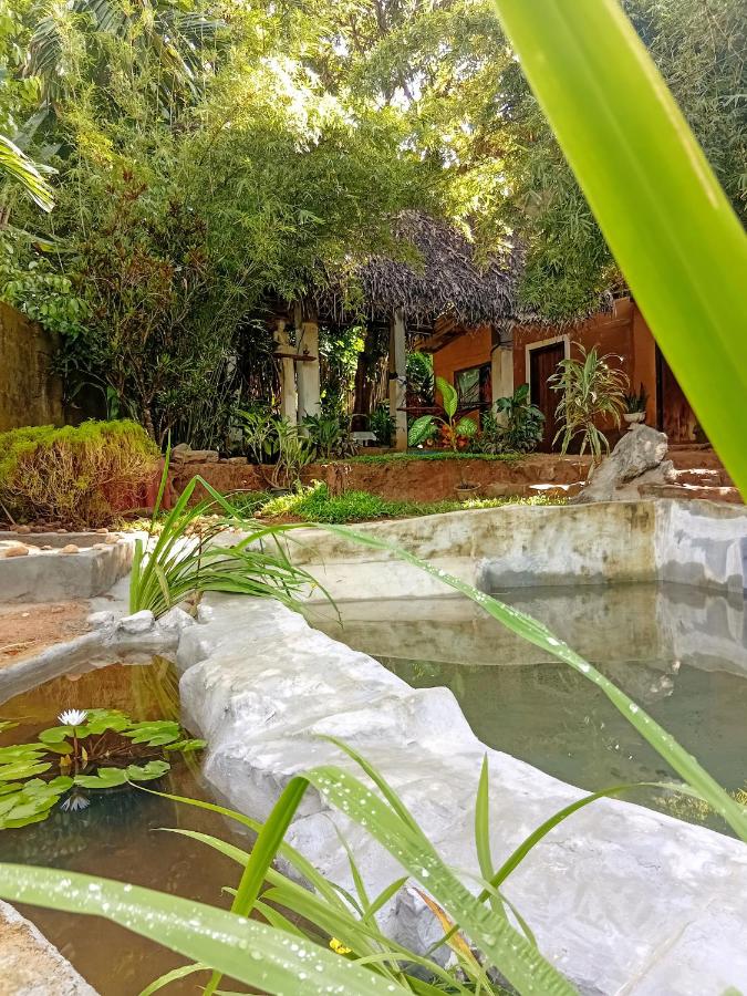 Ancient Grand Villa - B&B