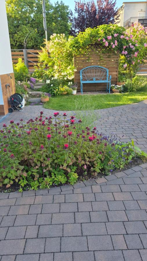 Apartament Turmalin - B&B