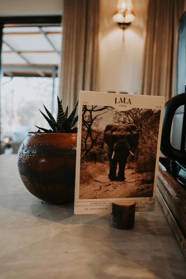 Lala Lodge - Chambres d’hôtes Hoedspruit