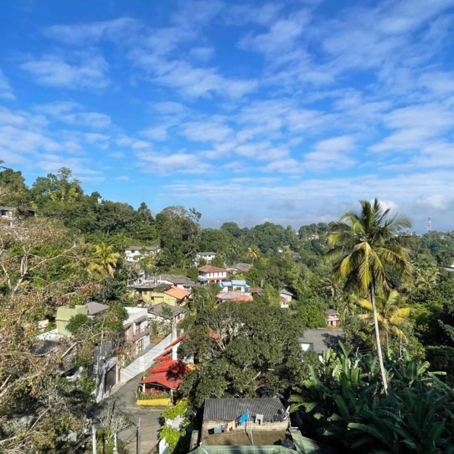 D Lion Studio Appartment - B&B Kandy