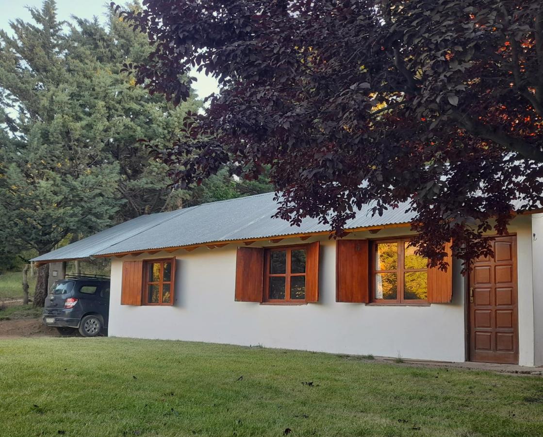 Cabaña Del Viento - Ferienwohnung Huinganco