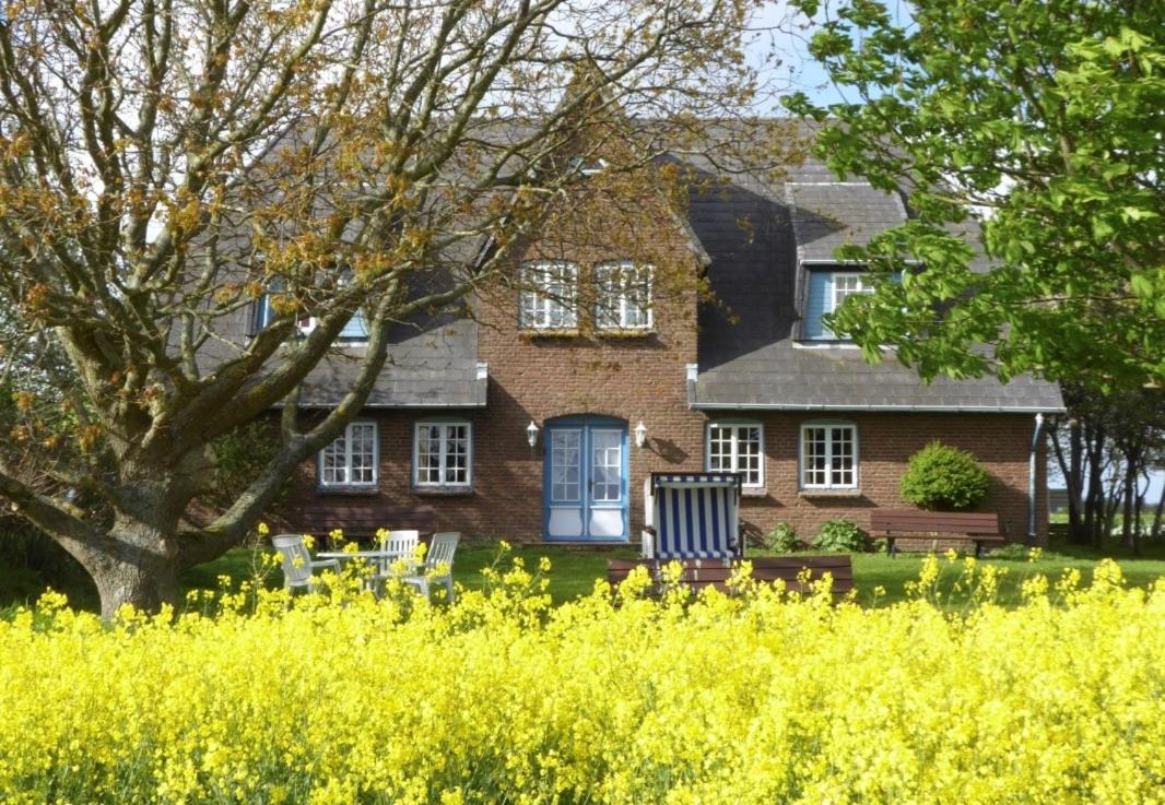 Haus Wolfram App Gondeline Morsumer Kliff - B&B Archsum