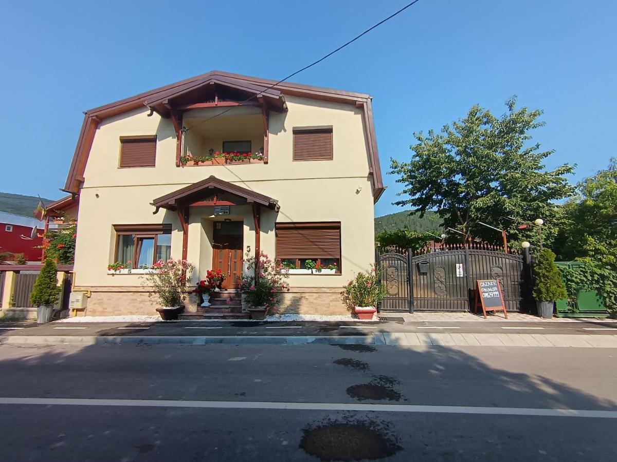 Pensiunea Mihaita - B&B
