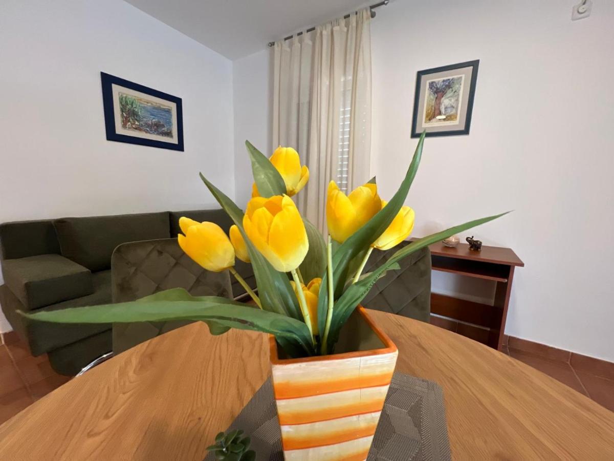Apartamento de 2 dormitorios