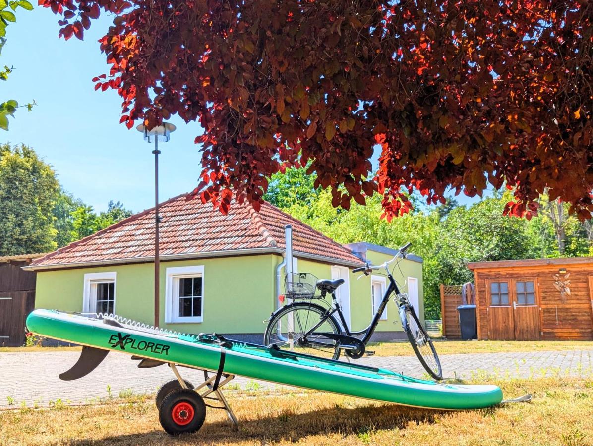 Lake & Bike Holidays Wüstenhain, Ferienhaus am Gräbendorfer See - Chambres d'hôtes Vetschau