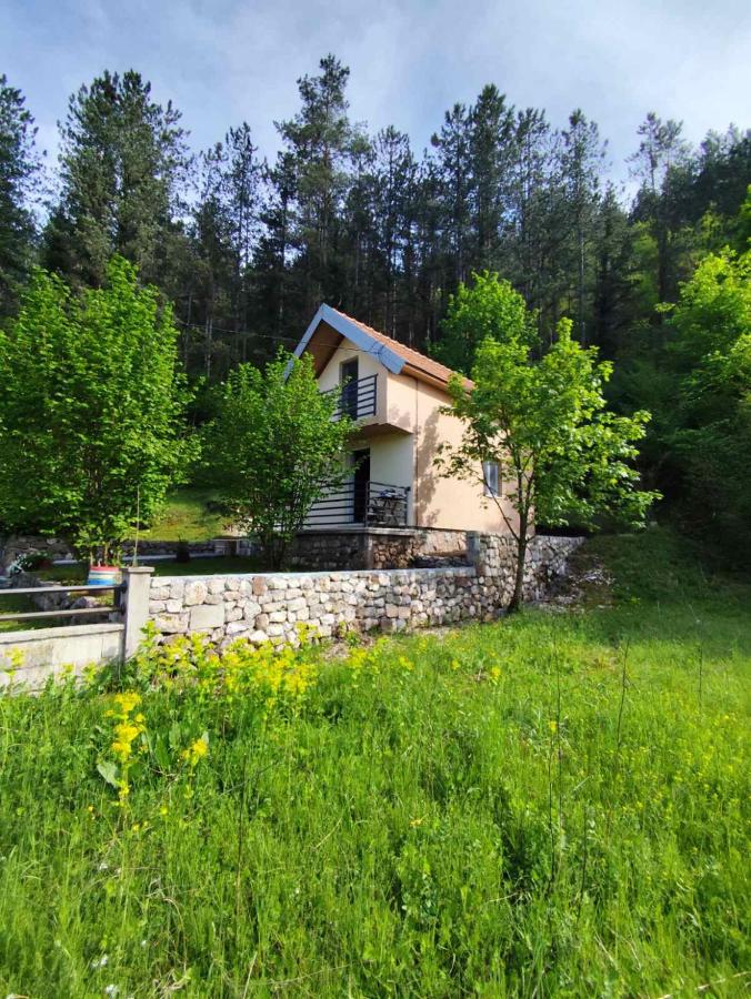 Cottage in nature of Cetinje - B&B