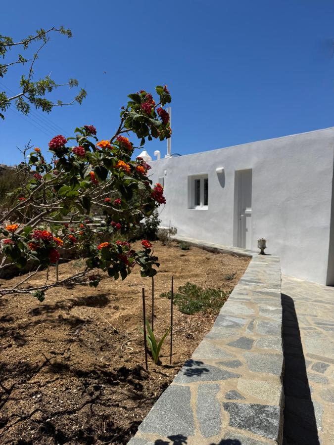 Apartment with Garden View