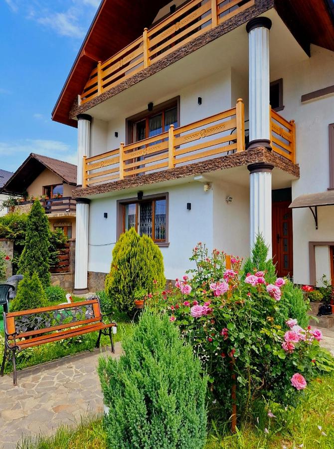 Pensiunea Adriana - Chambres d’hôtes Vadu Izei