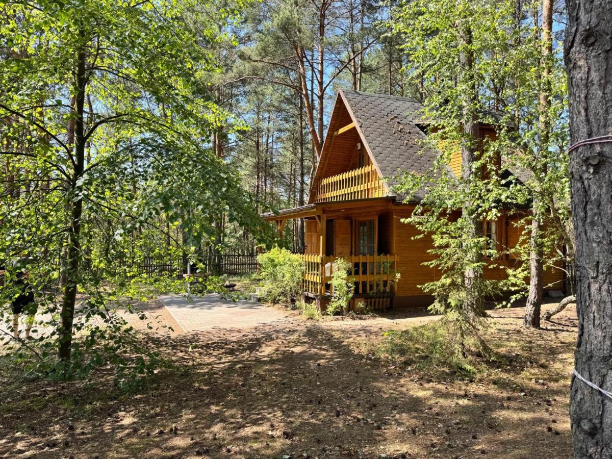 Leśniczówka - B&B