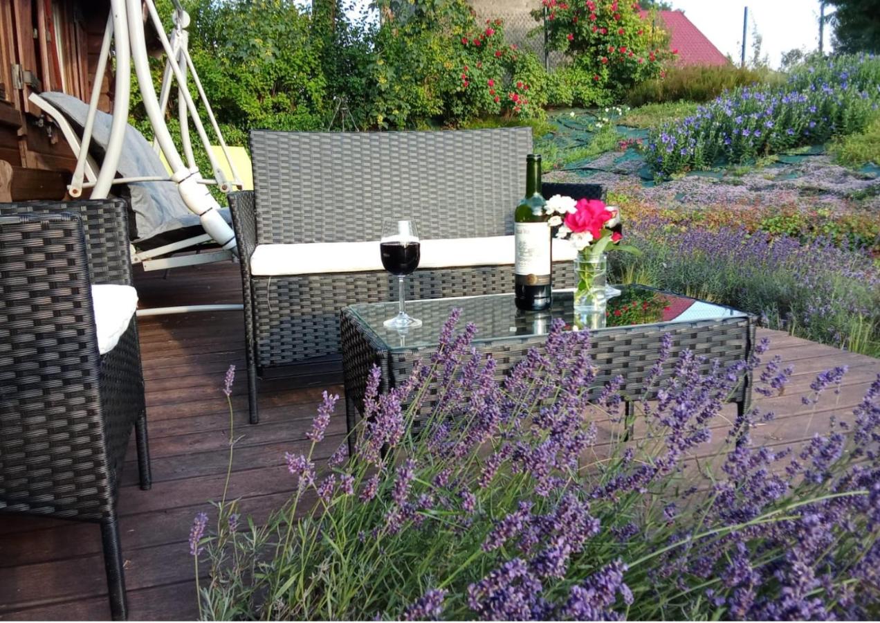Lavender Retreat - B&B Cracovia
