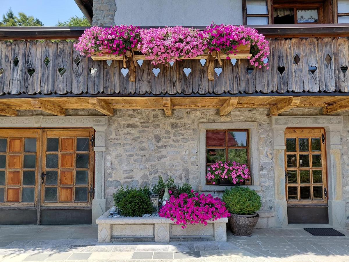 Apartma Alpski vrt - B&B Vojsko