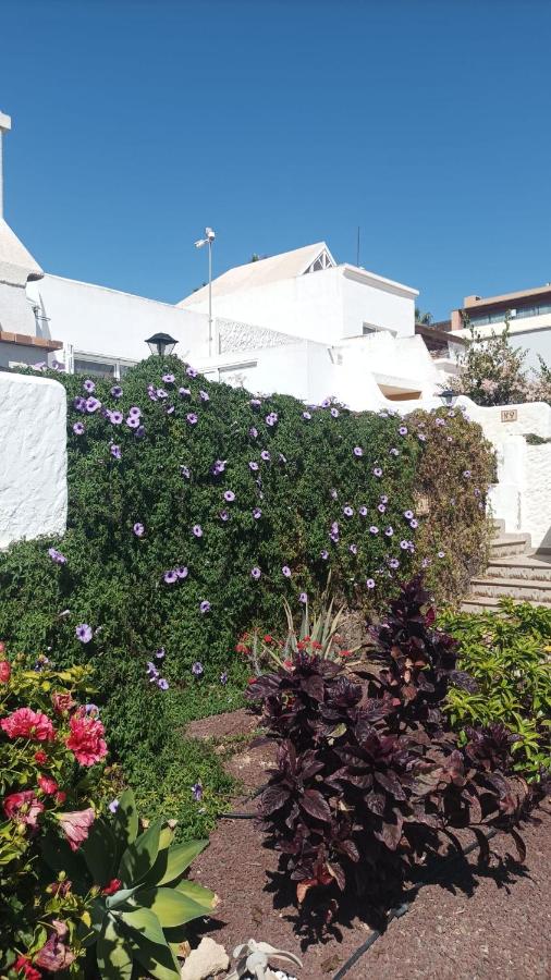 Casa Flora - Bed and Breakfast Costa Calma