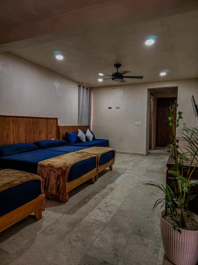 Apartamento Flamingo - Santuario Apartments - B&B