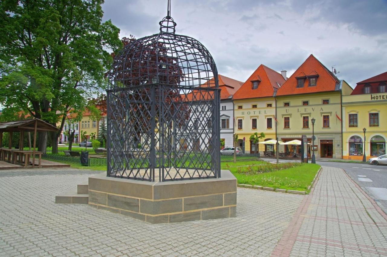 Hotel U Leva