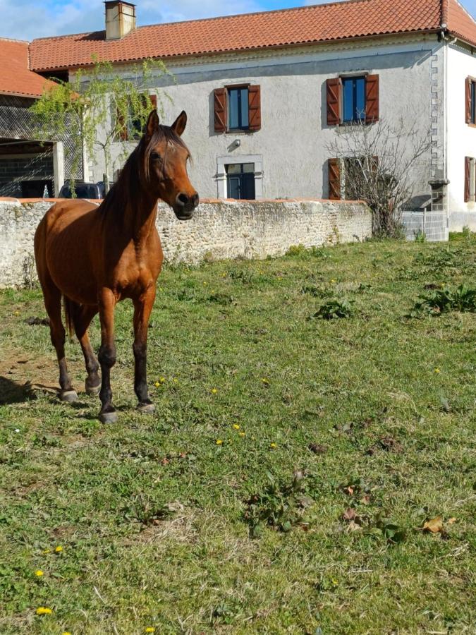 Des Racines et des Rêves - B&B