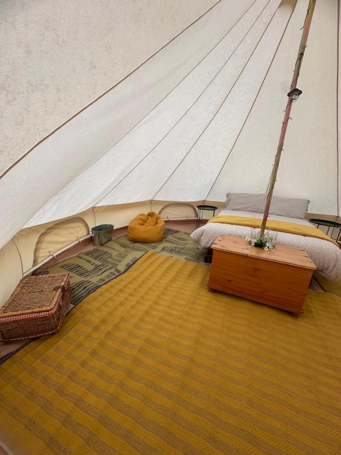 Farks - at Neddy Green - Maple - B&B Lytchett Matravers
