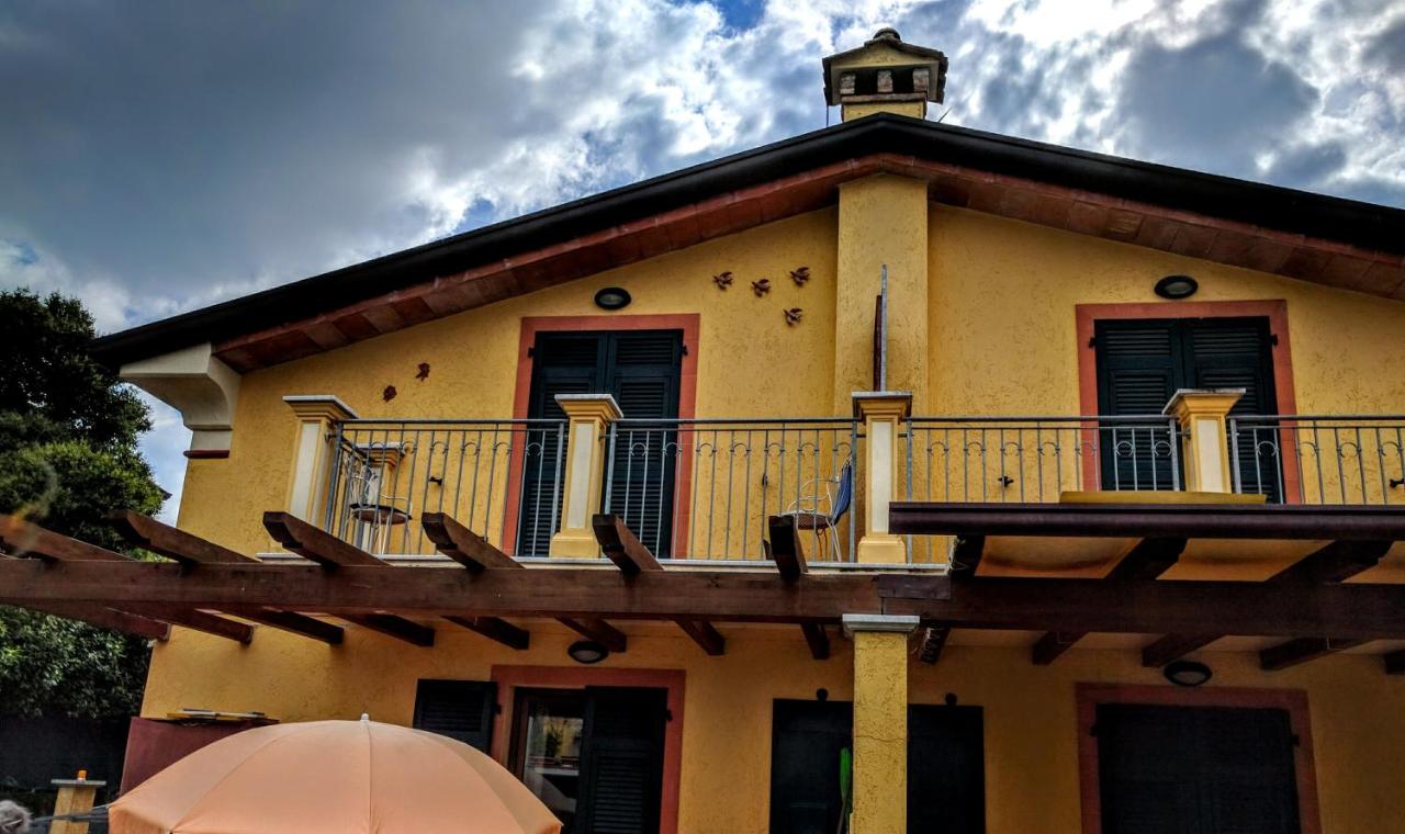 Sally's B&B - B&B