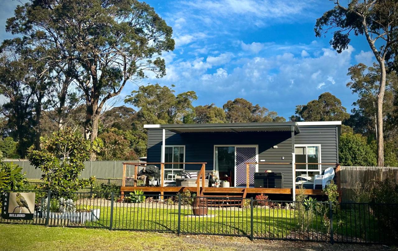 Cabin Bellbird - B&B