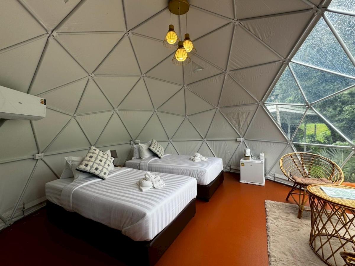 Tent Twin beds