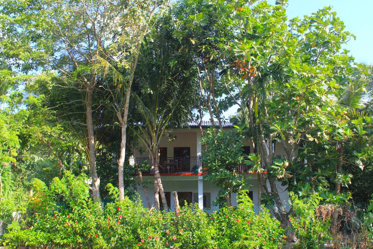Sigiriya Palace View - B&B