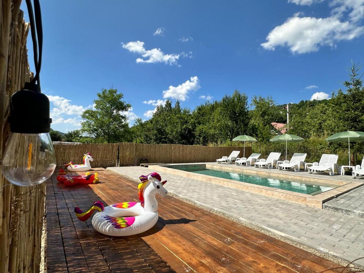 Guest House Carpathia - B&B Vişeu de Sus