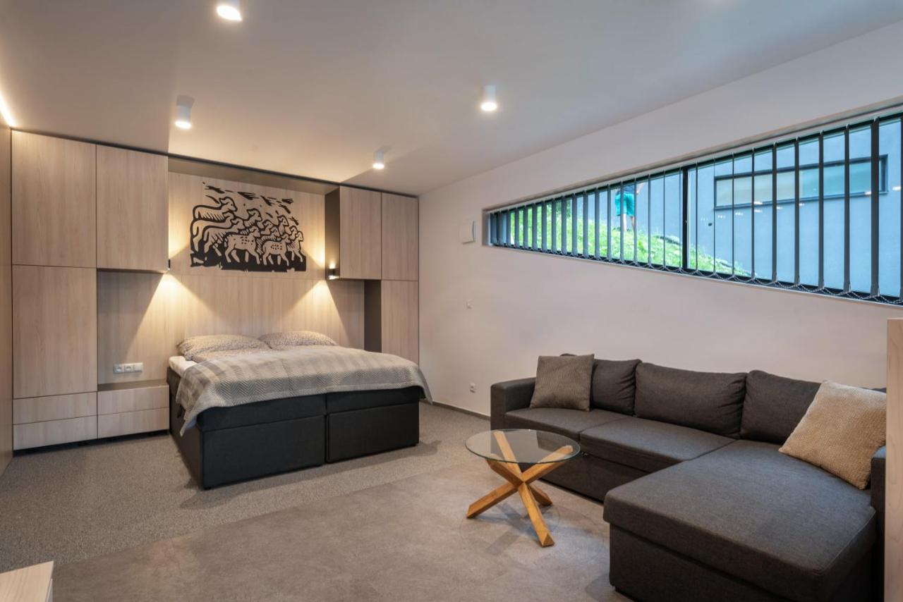 Studio with Terrace