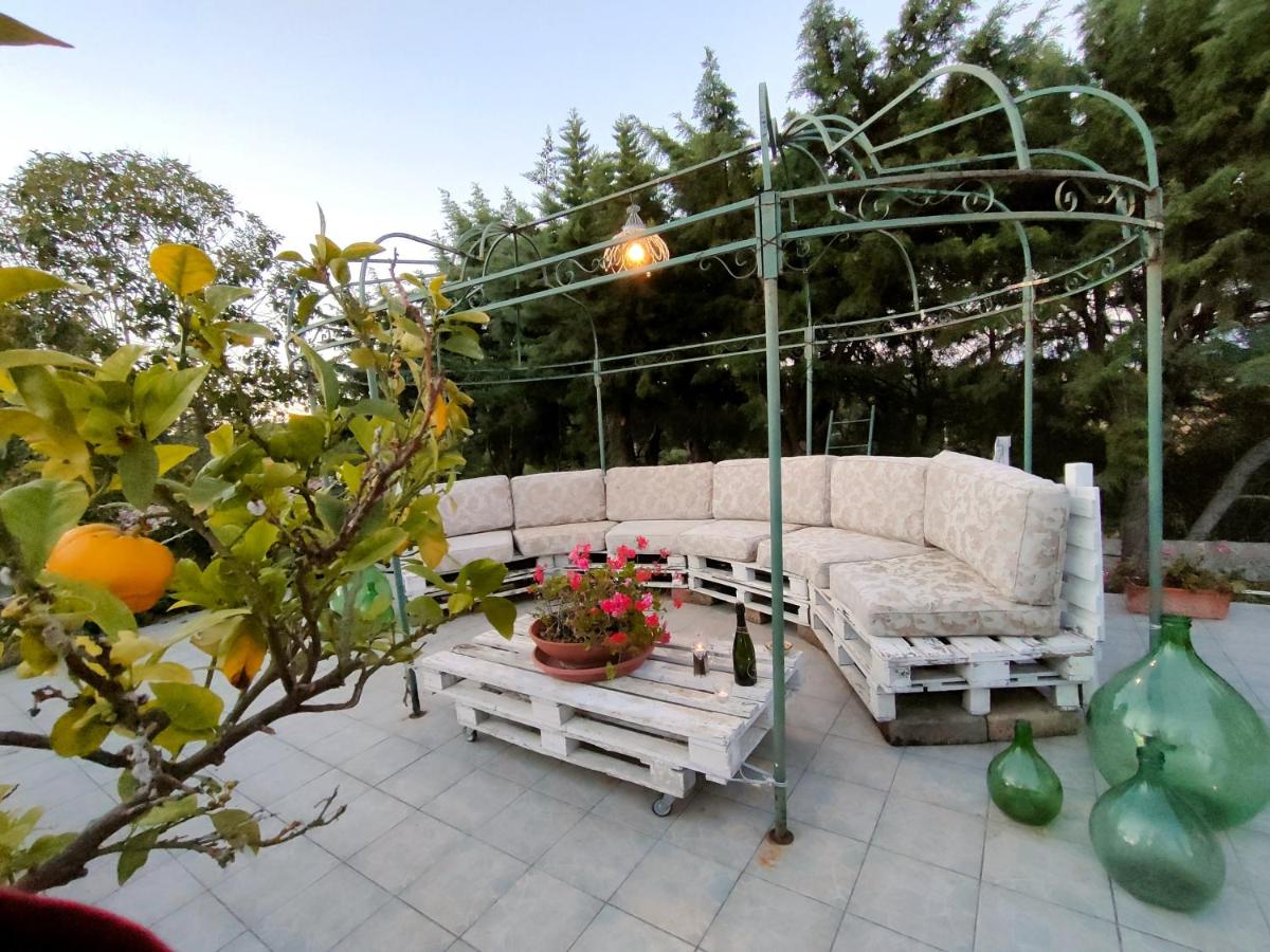La Lomita - B&B Santa Marinella