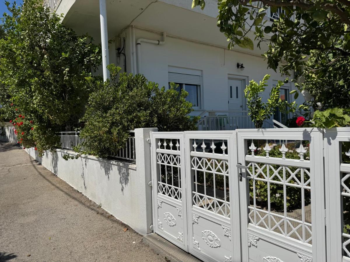 Lemon tree's house - B&B