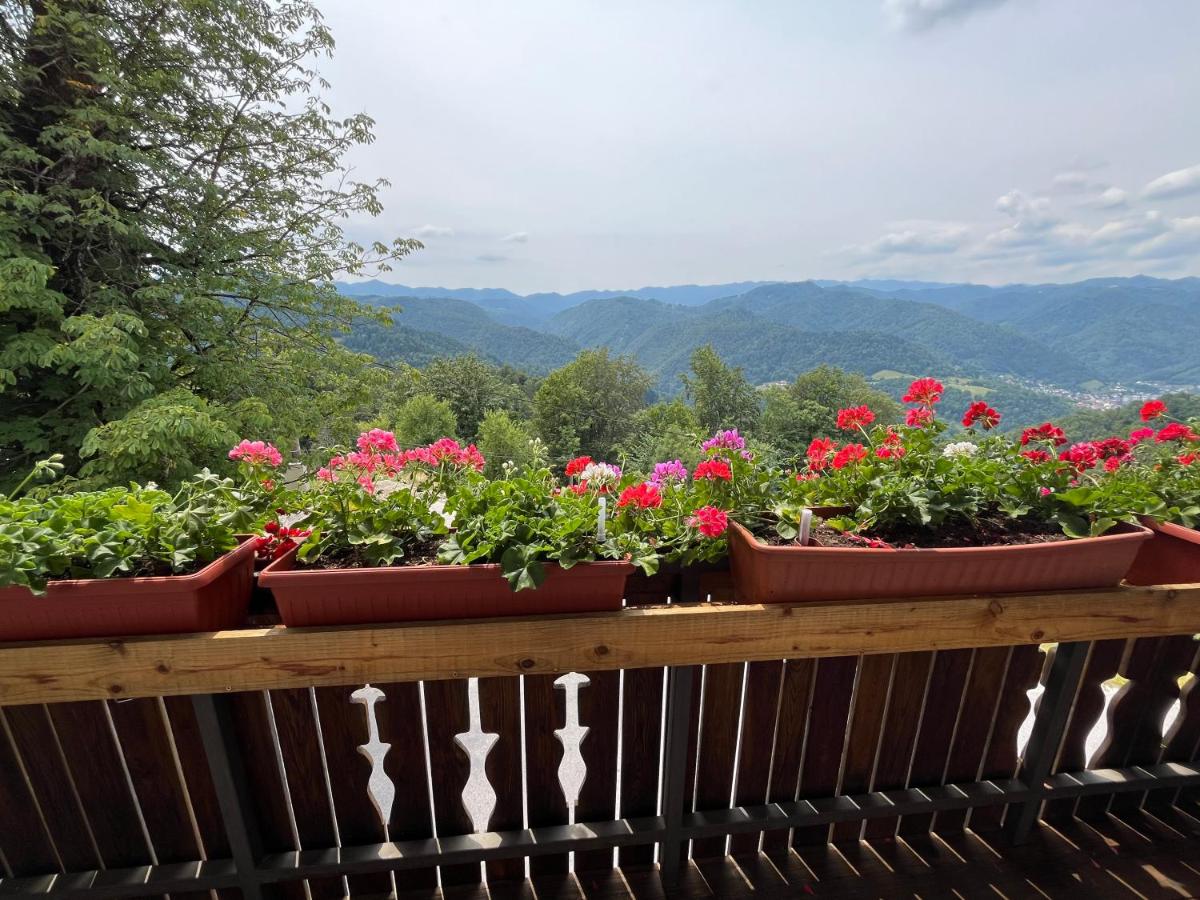 Apartma Mohorič - B&B